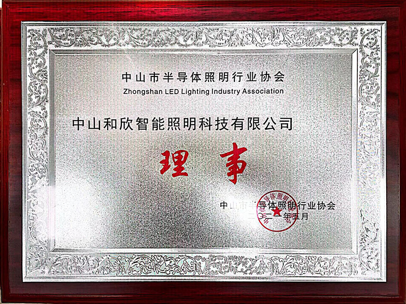 中山市半导体照明行业协会理事